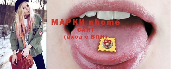 индика Алексин