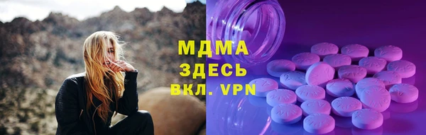 индика Алексин
