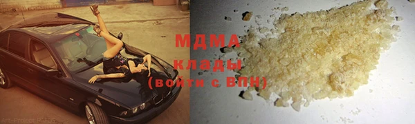 индика Алексин