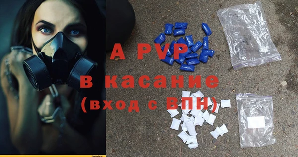 индика Алексин