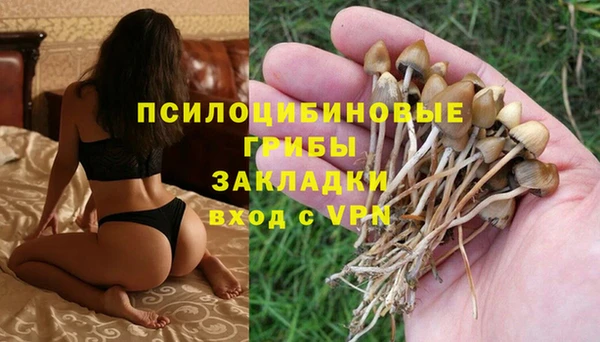 индика Алексин
