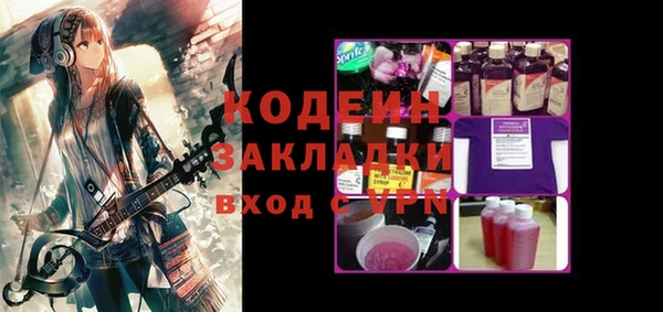 индика Алексин