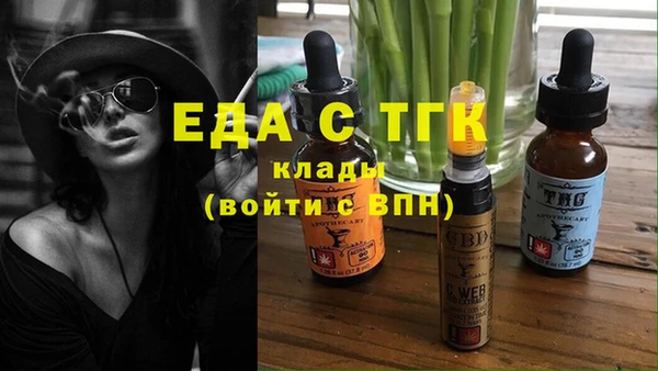 индика Алексин