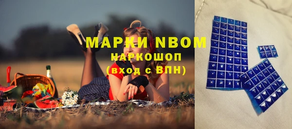 индика Алексин