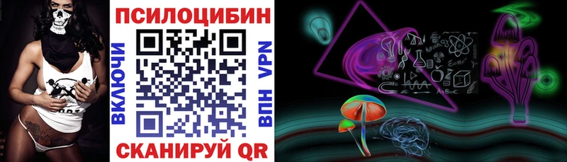 Галлюциногенные грибы Psilocybe  мориарти наркотические препараты  Богучар  гидра зеркало 